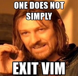 One does not simply exit vim