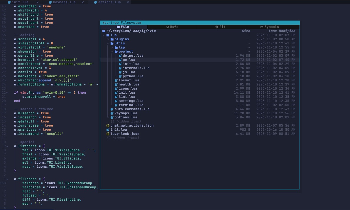 Neovim 1